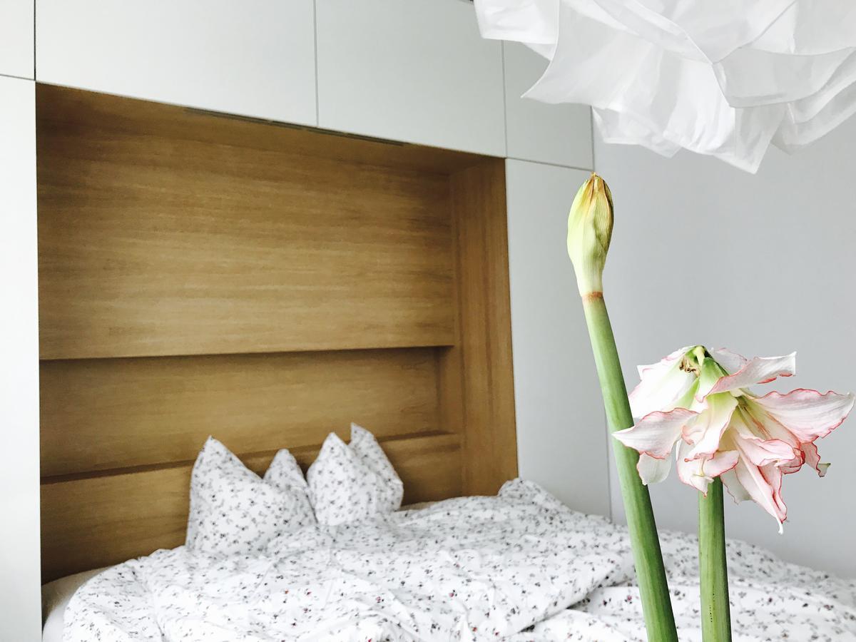 Design Apartment In Park 索菲亞 外观 照片