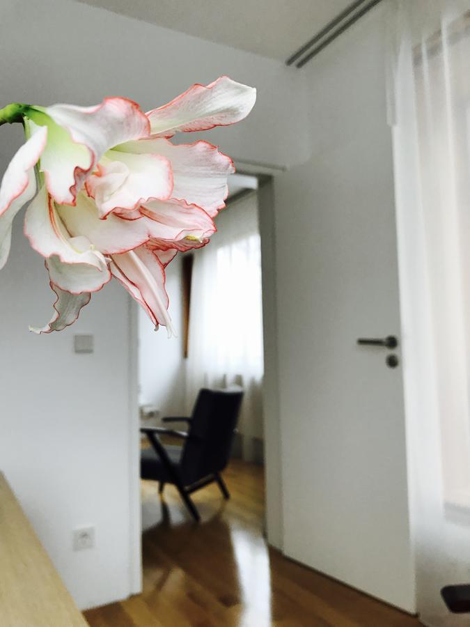 Design Apartment In Park 索菲亞 外观 照片